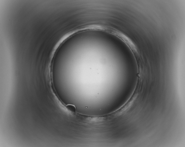 X0000115300808200911091011
