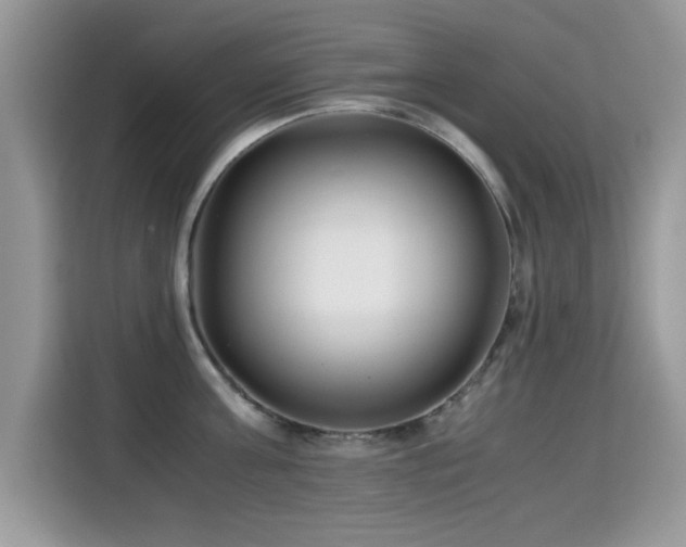 X0000115300811200911091011