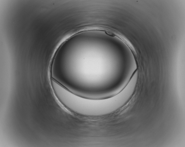 X0000115300813200911091011