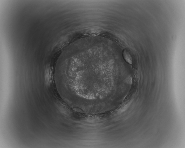X0000115300818200911091010
