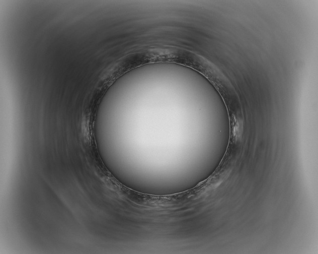 X0000115300819200911091010