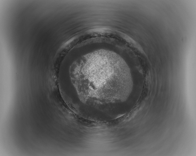 X0000115300822200911091010