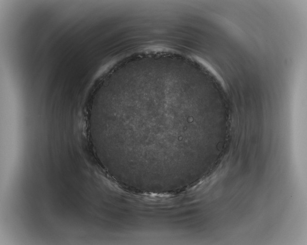 X0000115300823200911091010