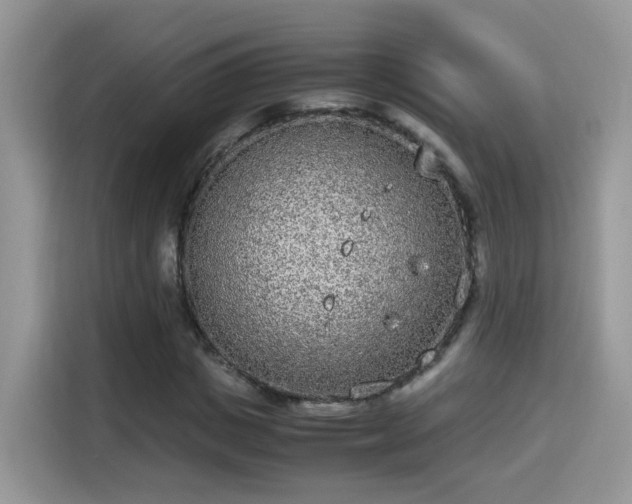X0000115300825200911091010