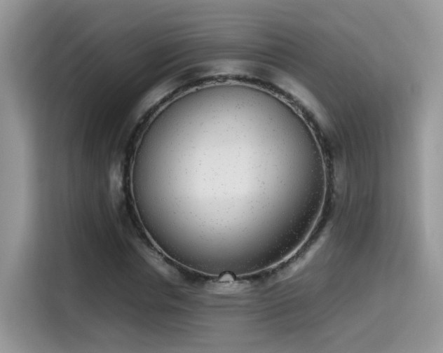 X0000115300826200911091010