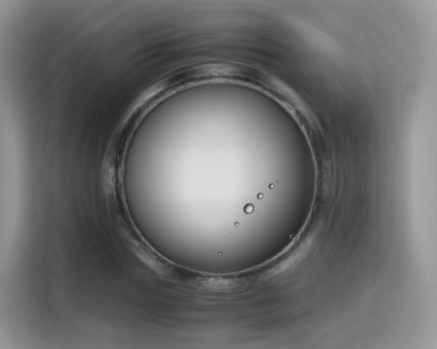 X0000115300827200911091010
