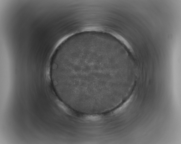 X0000115300830200911091010