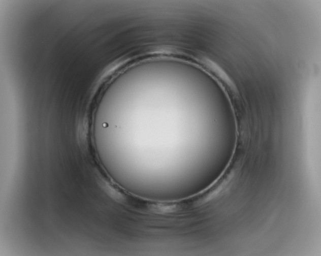 X0000115300831200911091010