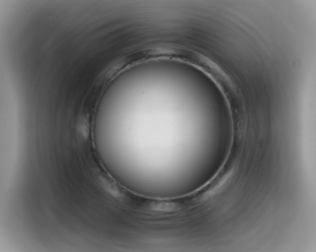 X0000115300833200911091010
