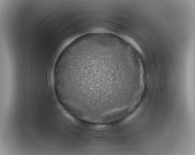 X0000115300839200911091010