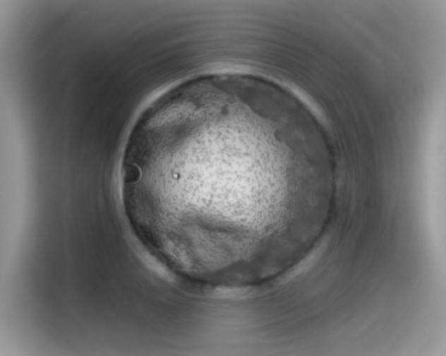 X0000115300840200911091010