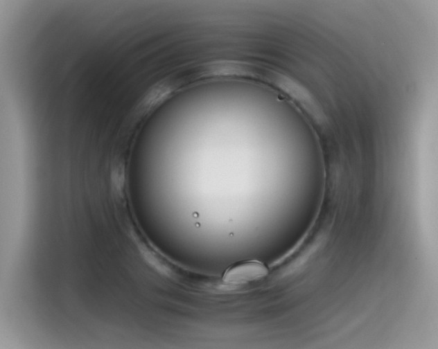 X0000115300841200911091010