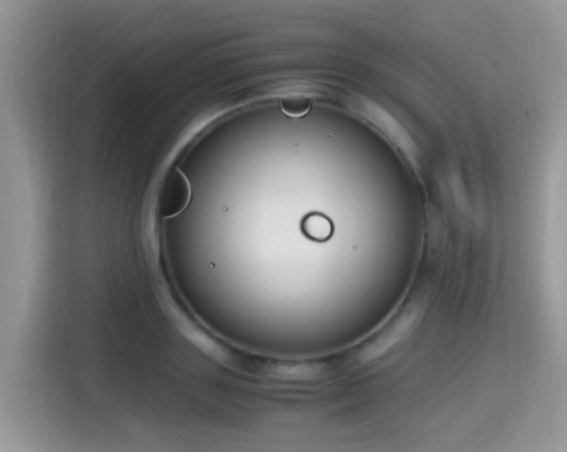 X0000115300843200911091010