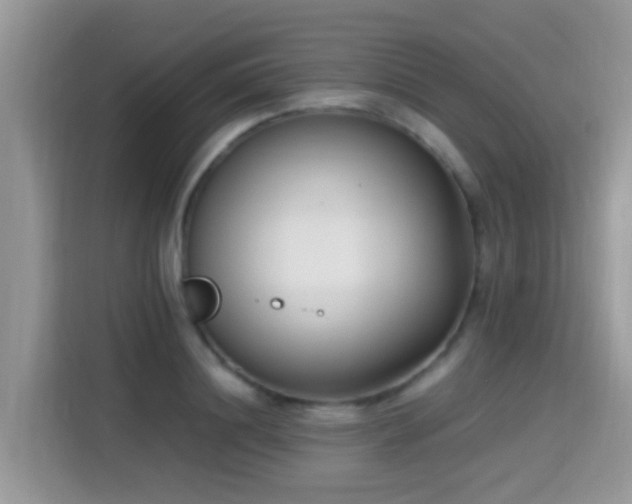 X0000115300844200911091010