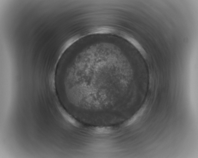X0000115300850200911091010