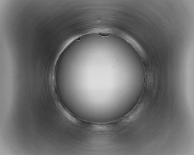 X0000115300852200911091010