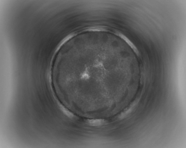 X0000115300853200911091010