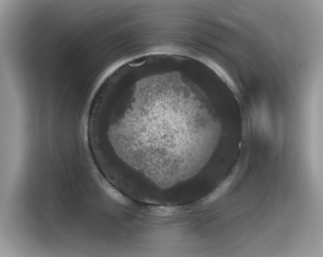 X0000115300854200911091011