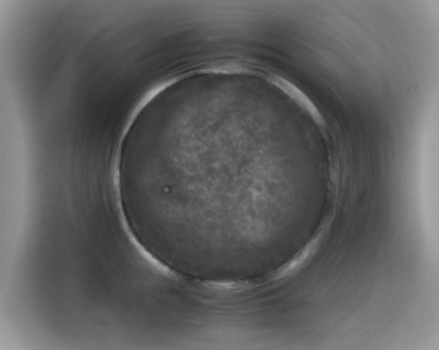 X0000115300855200911091011