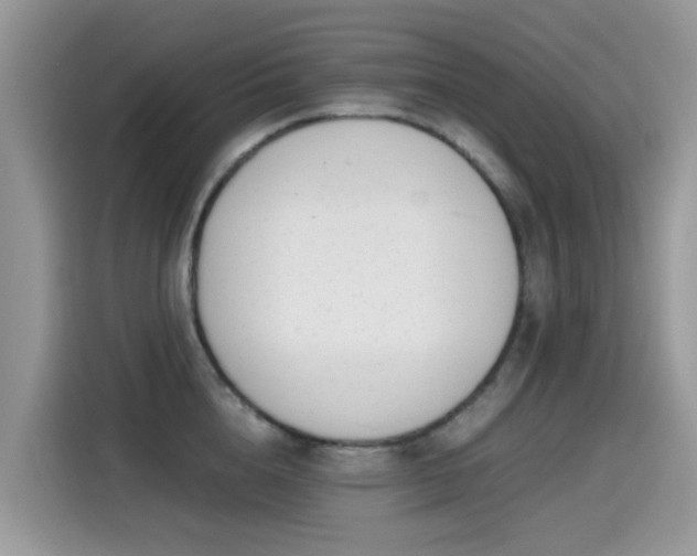 X0000115300856200911091011