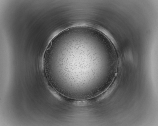 X0000115300858200911091011