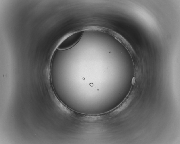 X0000115300860200911091011