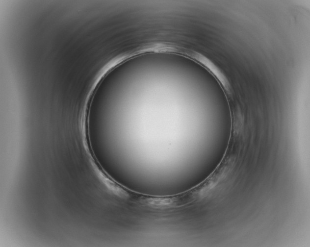 X0000115300861200911091011