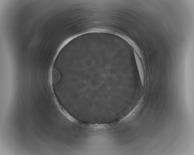 X0000115300862200911091011