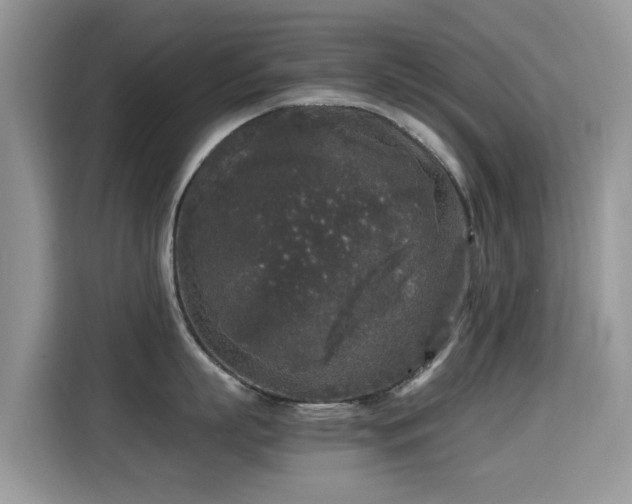 X0000115300863200911091011