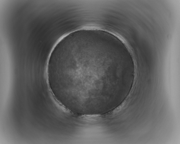 X0000115300864200911091011