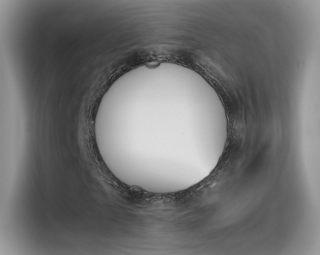 X0000115300865200911091010