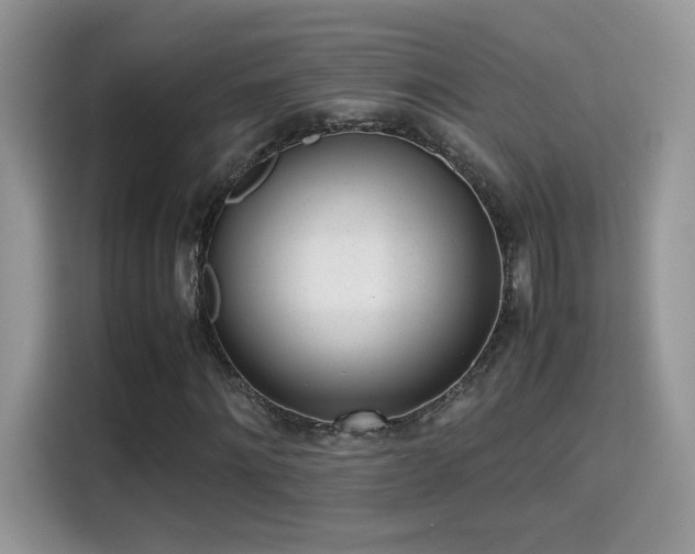 X0000115300868200911091010