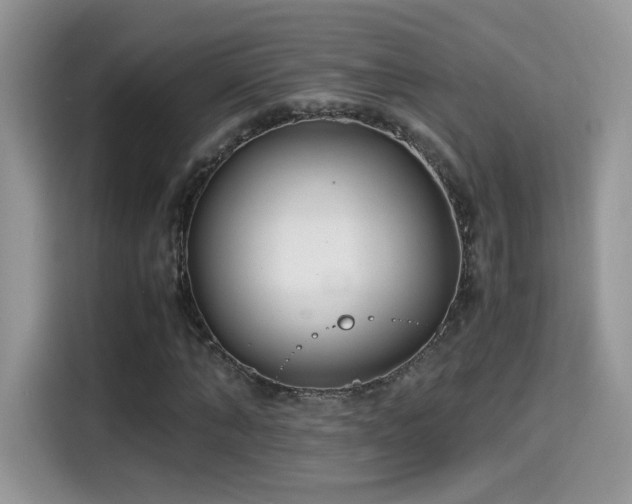 X0000115300870200911091010