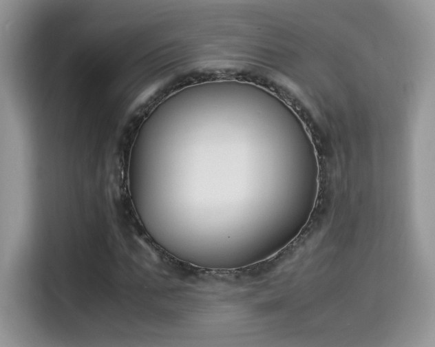 X0000115300871200911091010