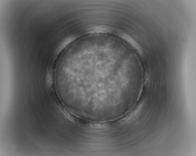 X0000115300874200911091010