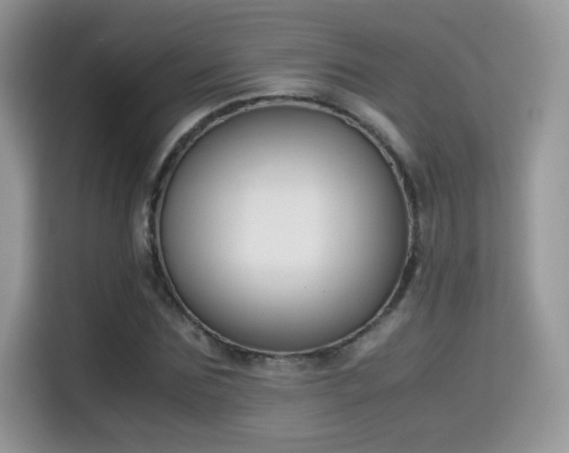 X0000115300875200911091010