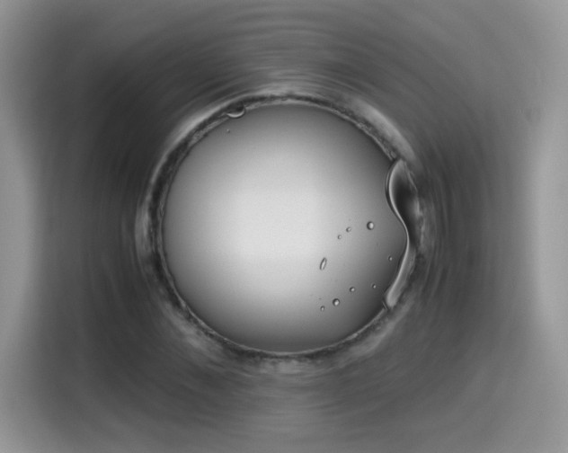 X0000115300876200911091010