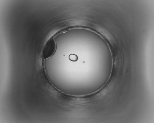 X0000115300877200911091010