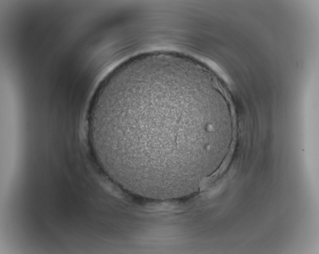 X0000115300879200911091010