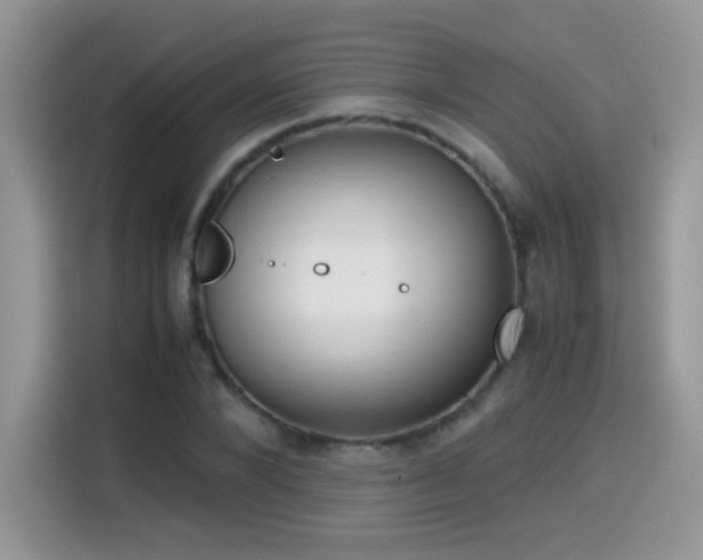 X0000115300880200911091010