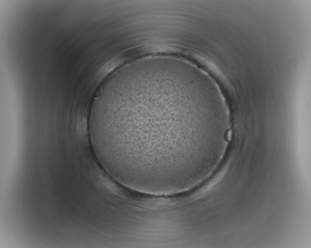 X0000115300881200911091010
