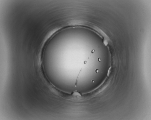 X0000115300885200911091010