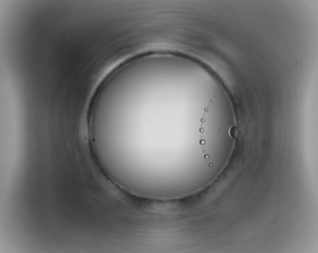 X0000115300887200911091010