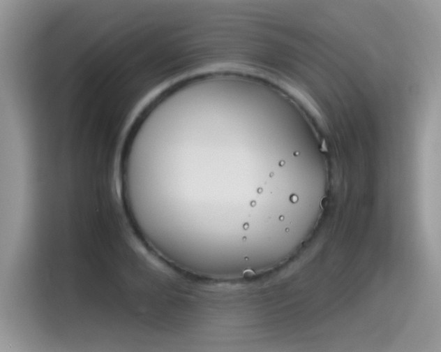 X0000115300888200911091010