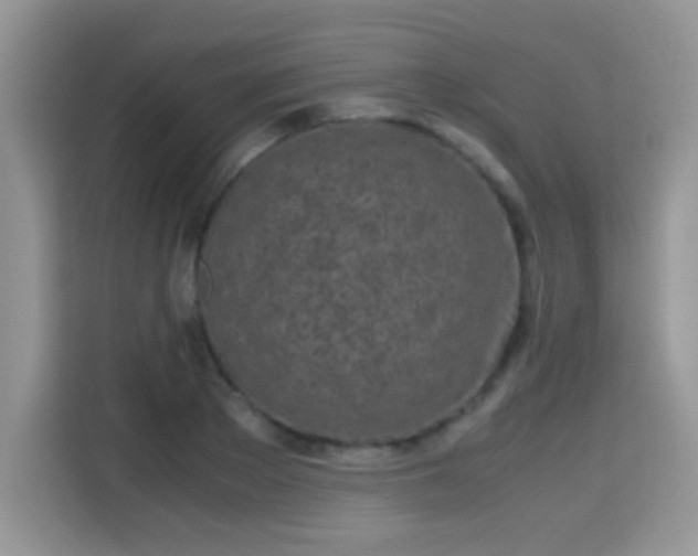 X0000115300889200911091010