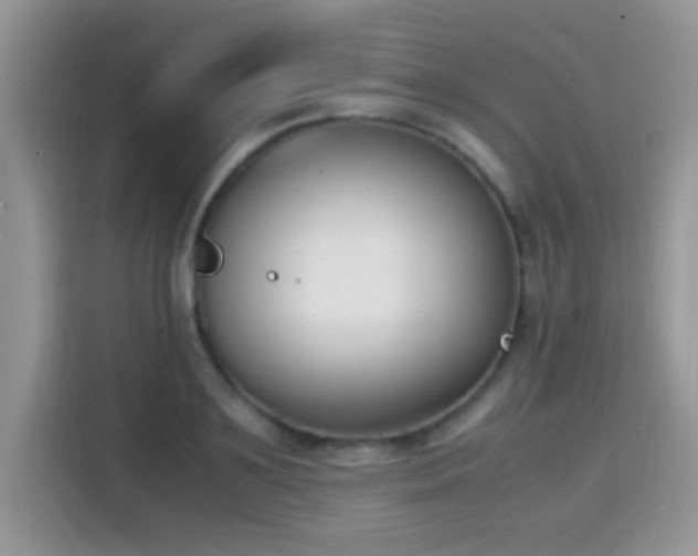 X0000115300891200911091010