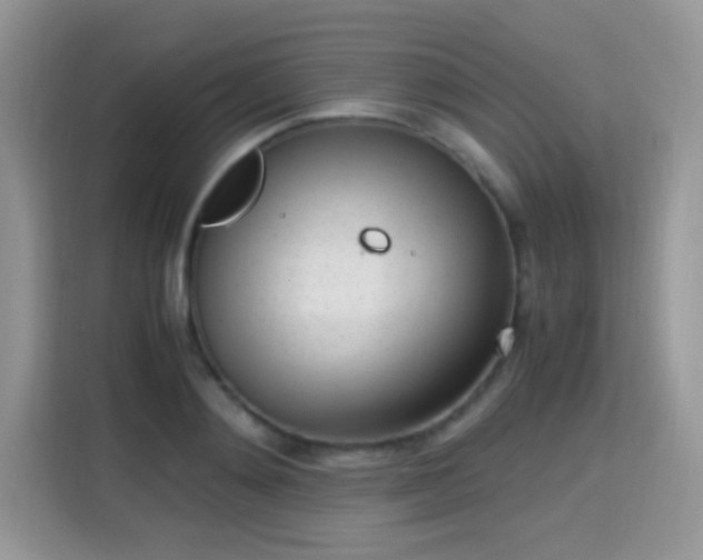 X0000115300892200911091010