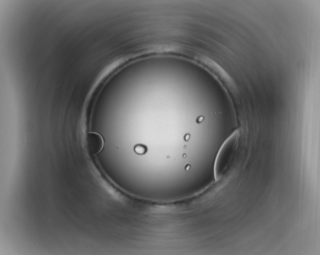 X0000115300894200911091010