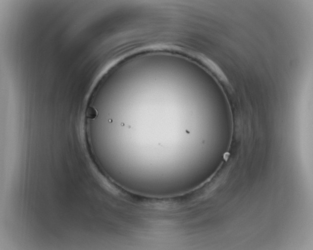 X0000115300895200911091010