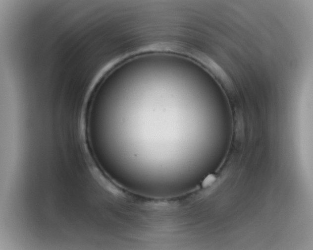 X0000115300896200911091010